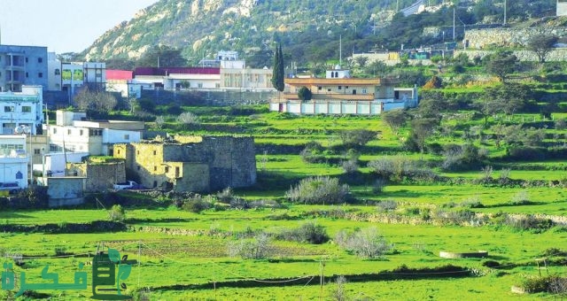 كم نسبة المناطق الخضراء في السعودية