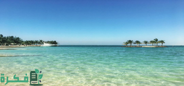هل يسمح السباحة في شاطئ السيف