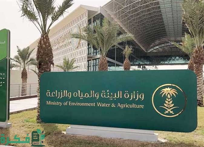 شروط دعم المواشي للنساء