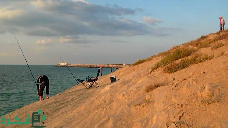 images 2023 12 26T092759.745