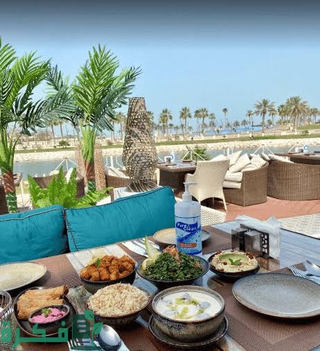 images 2023 12 26T094039.834