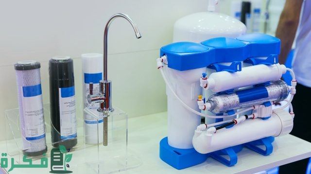 المشاريع الناجحة في الجزائر