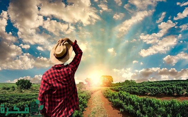 المشاريع الناجحة في تونس