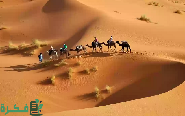 711 رمز اي قبيلة في المملكة