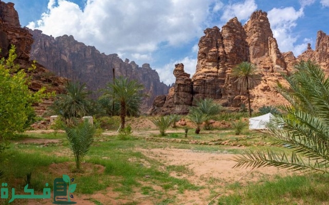 كم عدد سكان تبوك 2024 ومحافظاتها