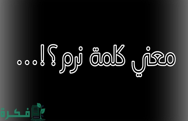 معنى كلمة نرم في السوشيال ميديا ويعني ايه عيل نرم