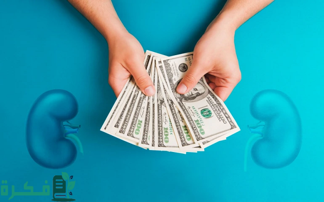 سعر الكلية الواحدة في السعودية بالسعودي