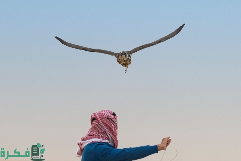 جدول غرامات الصيد في السعودية