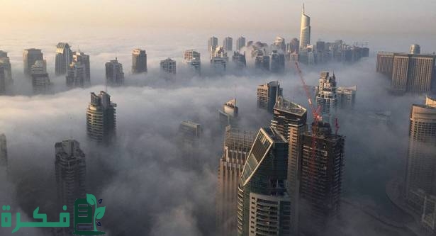 ظاهرة بيئية غريبة في الإمارات تقلق السكان