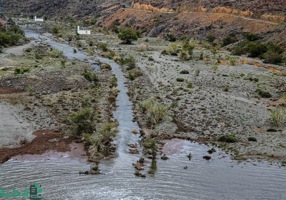 تحفة طبيعية غنّاء.. "وادي حية" واحات تجذب الزوار والسياح بحائل