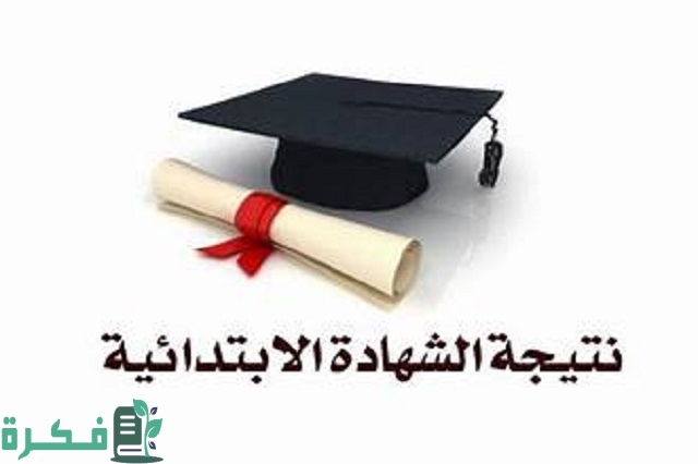 نتيجة الصف الرابع الابتدائي الترم الثاني 2024 بالاسم فقط او رقم الجلوس أو بالرقم القومي