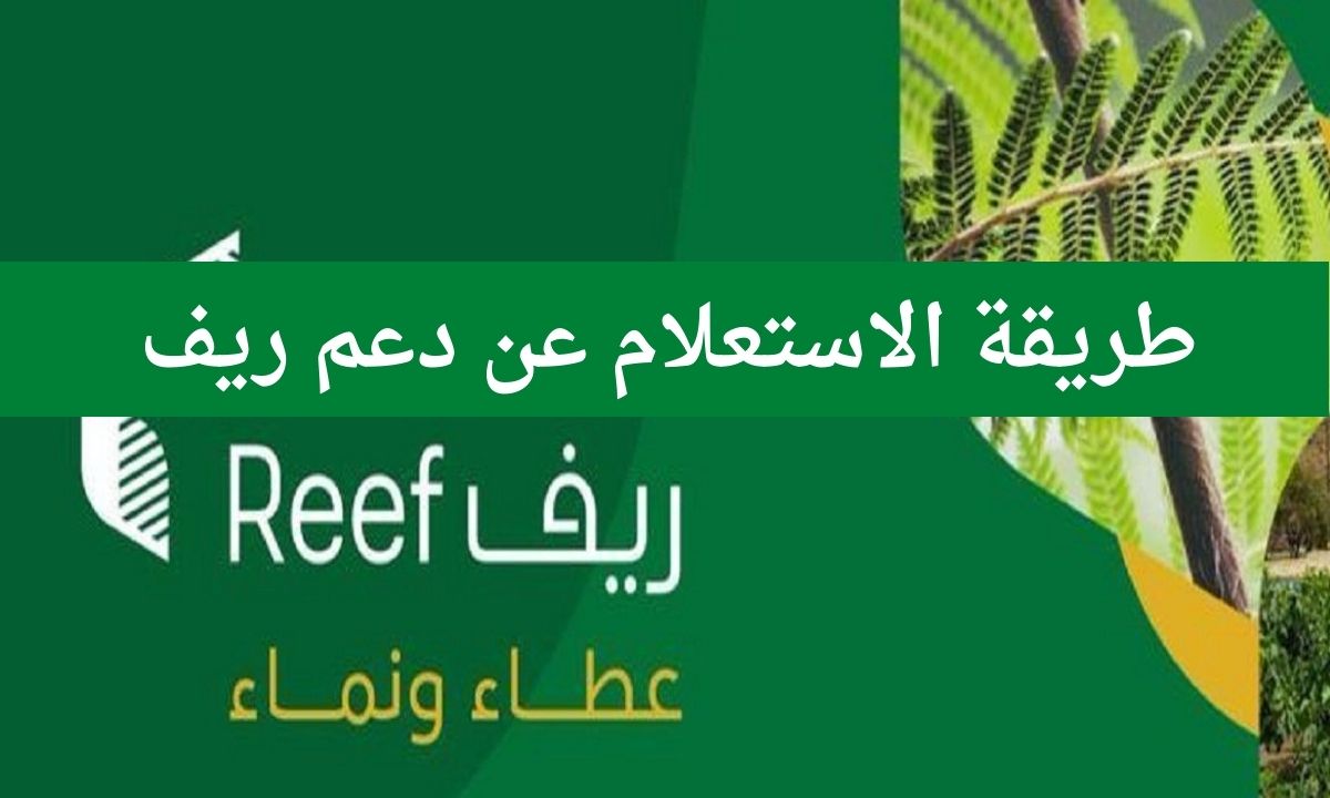 الاستعلام عن الدعم الريفي للأسر المنتجة reef.gov .sa