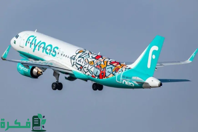 طيران ناس يرفع السعة المقعدية لرحلات الصيف إلى الطائف وأبها والباحة لأكثر من 480 ألف بزيادة 21% لتعزيز السياحة الداخلية