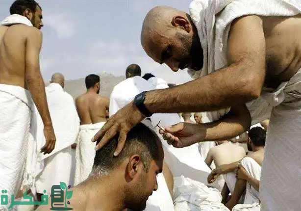 «أدنوك» الإماراتية تعتزم التوسع بمصر عبر خطة لإنشاء 6 محطات لتموين السيارات سنويا