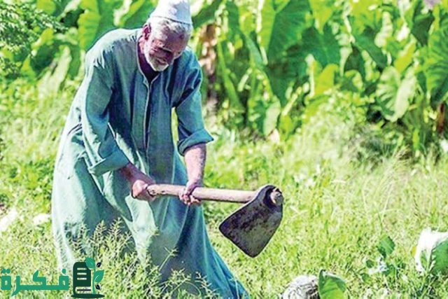 استعلام عن كارت الفلاح بالرقم القومي