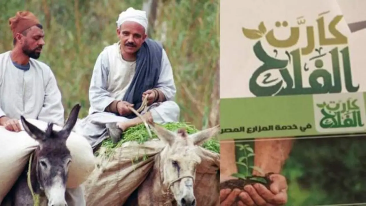 استعلام عن كارت الفلاح بالرقم القومي