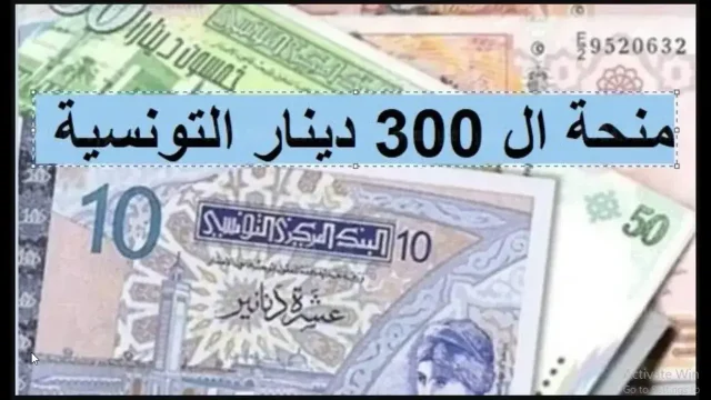 التسجيل في منحة 300 دينار
