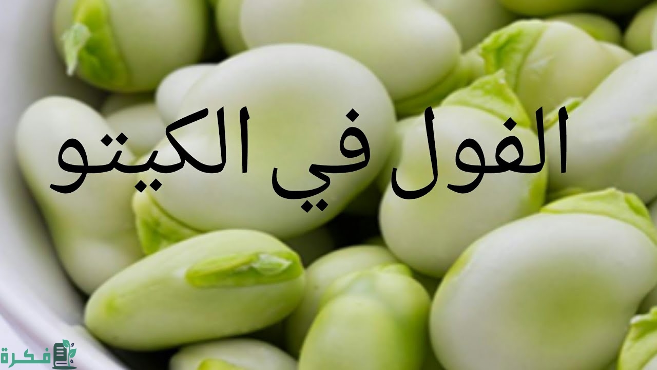 هل الفول مسموح في الكيتو لتخسيس؟ 10 هل الفول مسموح في الكيتو