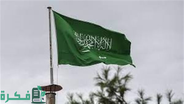 منح الجنسية للتخصصات النادرة.. رافد للبناء والتنمية ومرجعية للكفاءات السعودية عبر الأجيال