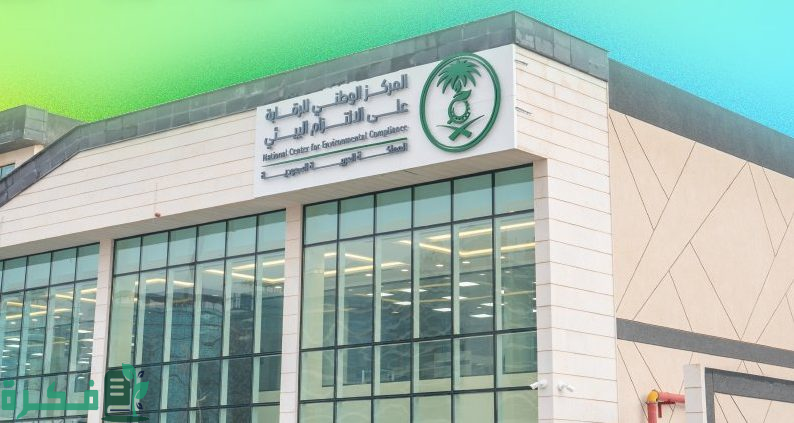 "الالتزام البيئي" ينقل خبرات ومعارف الأمم المتحدة في مراقبة جودة الهواء إلى كوادره الوطنية