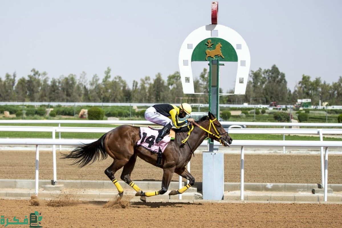 الدخول العام مجاني.. نادي سباقات الخيل للفروسية ينظم أسبوعه الثالث على كأس الورد الطائفي