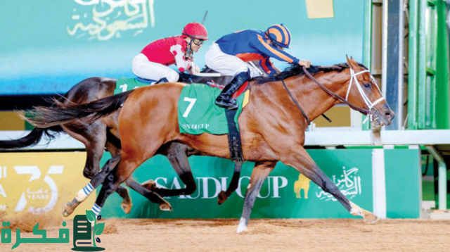 الدخول العام مجاني.. نادي سباقات الخيل للفروسية ينظم أسبوعه الثالث على كأس الورد الطائفي
