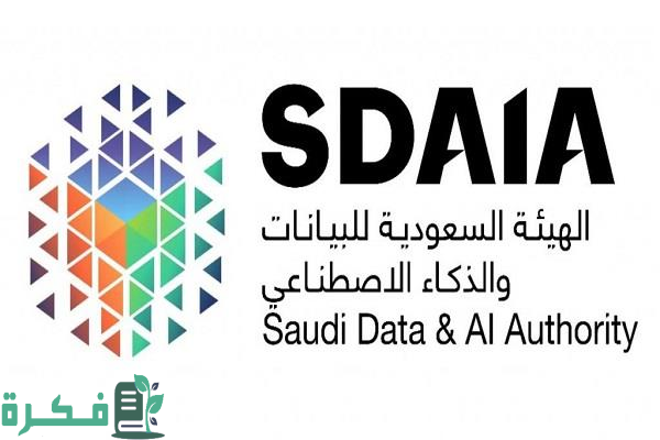 بأكثر من 5 مليارات ريال.. "سدايا" و"كفاءة الإنفاق" تحققان أثراً مالياً عبر "سحابة ديم"