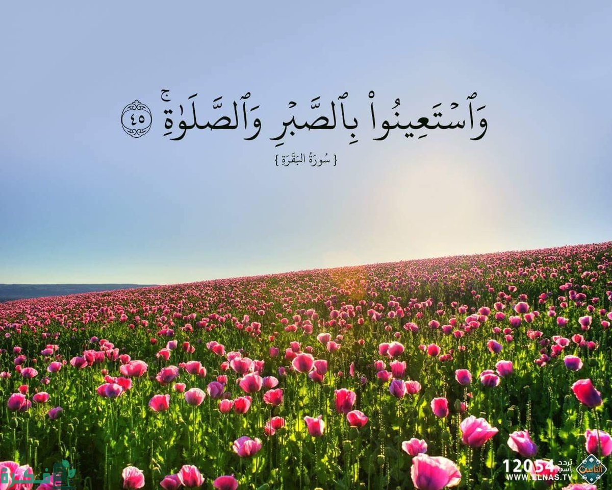 آيات عن الصبر والجهاد