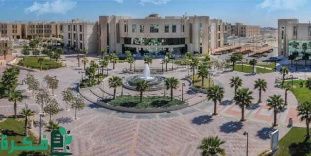 طريقة التقديم علي وظائف جامعة الإمام عبدالرحمن بن فيصل 2024 حسب الشروط والتخصصات المطلوبة