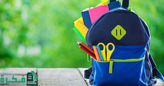 توضيح هام من الموارد البشرية قبل الصرف .. كم ينزل الضمان بعد ايداع الحقيبة 1446؟