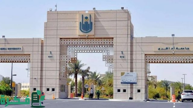 تفاصيل التقديم علي وظائف جامعة أم القري 1446 حسب الشروط المطلوبة للتسجيل