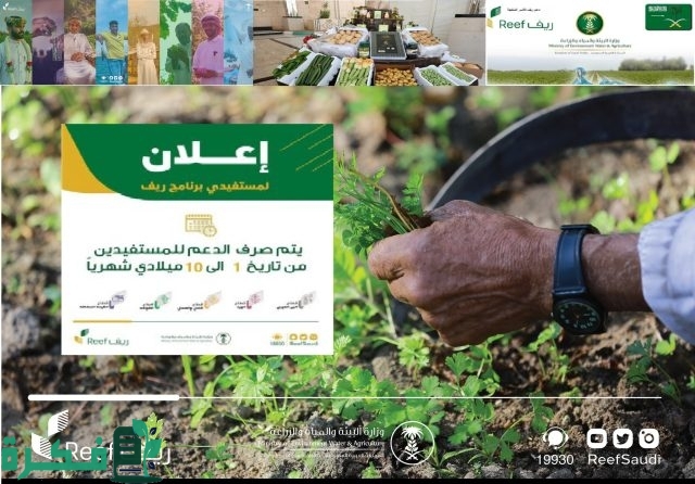 خطوات الاستعلام عن أهلية دعم الريف لهذا الشهر عبر الموقع الرسمي reef.gov.sa