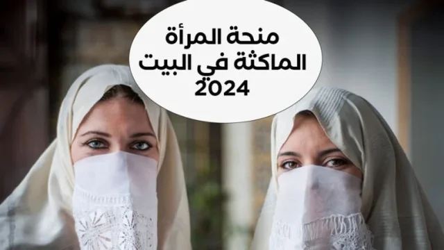 خطوات التقديم في منحة المرأة الماكثة بالبيت 2024 وأهم شروط القبول