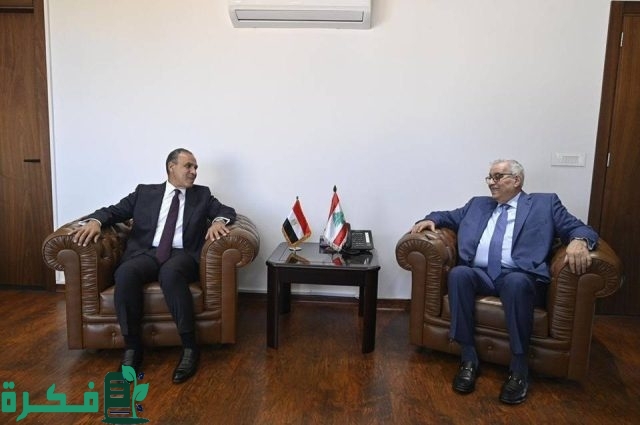 مصر تعيد المئات من رعاياها العالقين في دولة لبنان