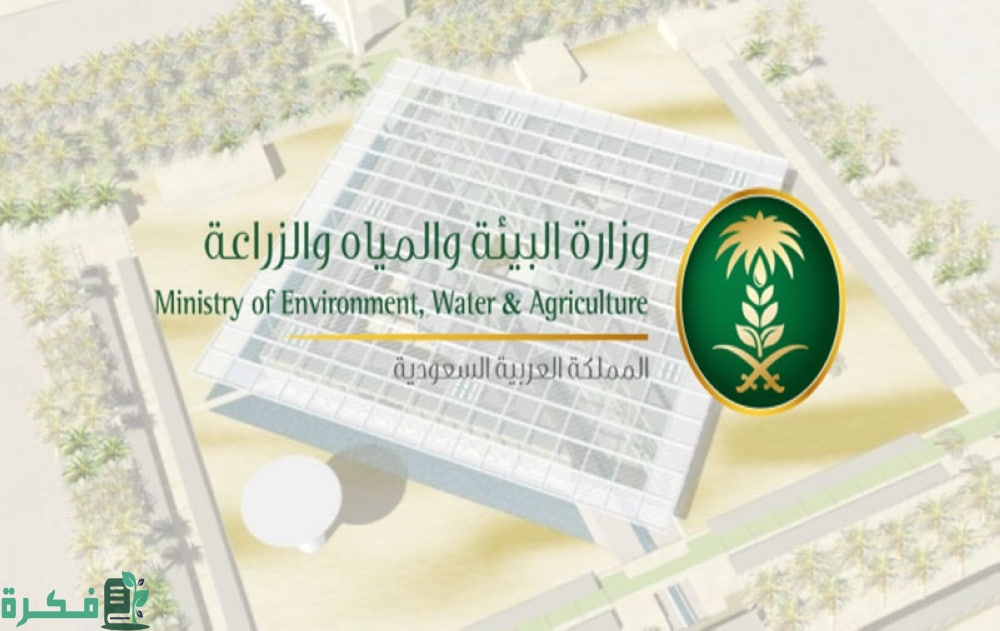 البيئة تدعو الصيادين للاستفادة من بدء موسم صيد أسماك الباغة عبر "نما"