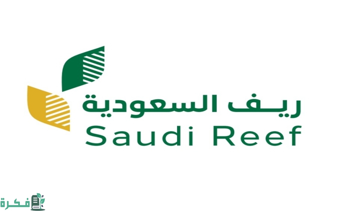 لماذا يتم رفض الطلب في ريف وأسباب توقف الصرف