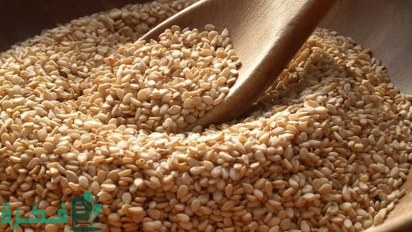 سعر كيلو السمسم في مصر اليوم