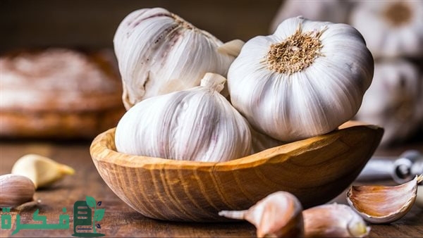 سعر كيلو الثوم الجديد اليوم في مصر