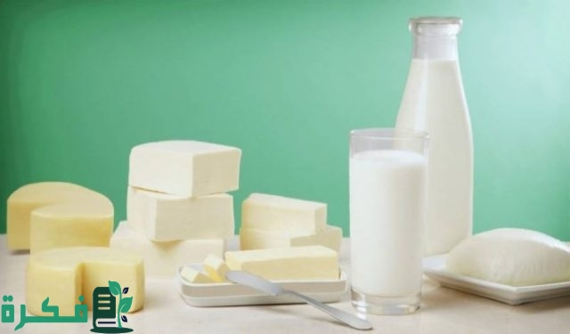 سعر كيلو اللبن اليوم في مصر سعر كيلو اللبن اليوم في مصر