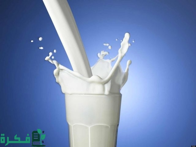 سعر كيلو اللبن اليوم في مصر سعر كيلو اللبن اليوم في مصر