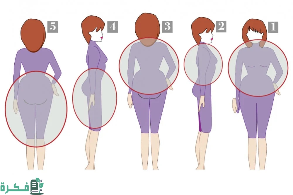 ترتيب المناطق في نزول الوزن عند النساء