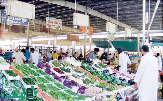 تعرف على … معايير فتح محلات الخضار والفاكهة في السعودية 1446