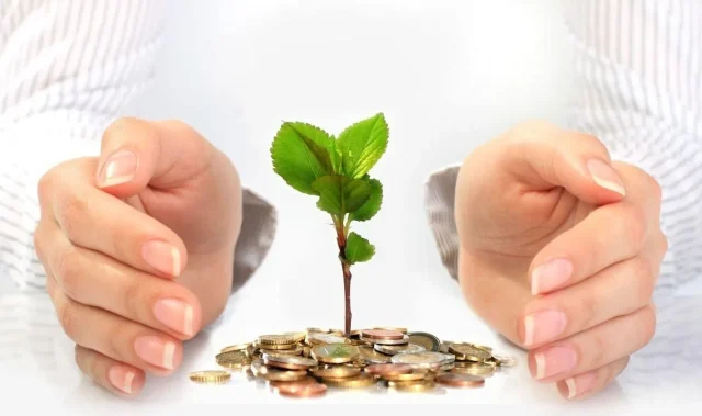 مشروع يدخل 30 الف شهريا