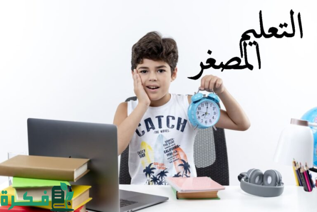 خصائص ومبررات استخدام التعليم المصغر