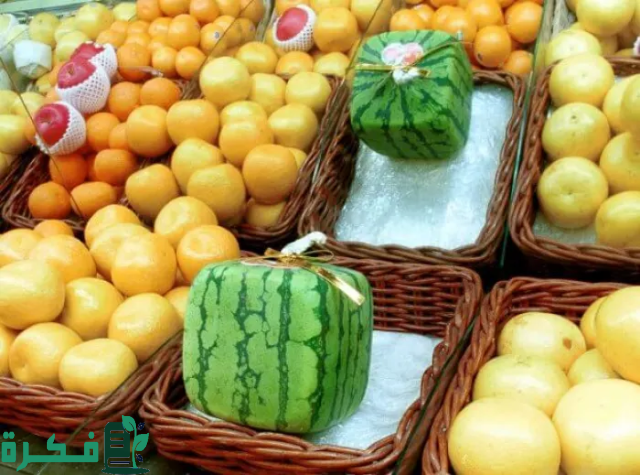 هل تجارة الفاكهة مربحة