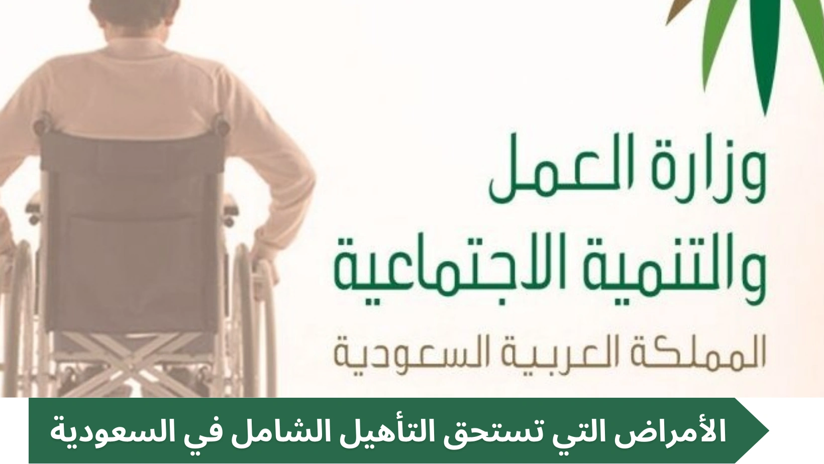 الأمراض التي تستحق التأهيل الشامل