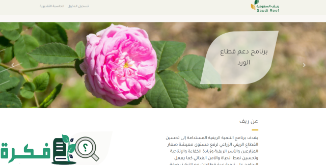 شروط دعم ريف للاسر المنتجة