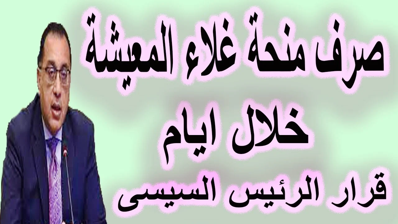حقيقة صرف بدل غلاء معيشة جديد للمواطنين في مصر: الحكومة تكشف الحقائق وتوضح موعد الإعلان عن أي مساعدات إضافية