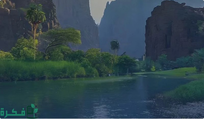 لا تغامر.. تحذير هام من الدفاع المدني بشأن التنزه في الأودية والشعاب وقت الأمطار