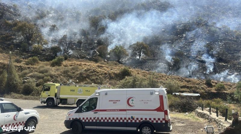 الدفاع المدني السعودي يحقق إنجازًا في إخماد حريق هائل بجبل الطائف